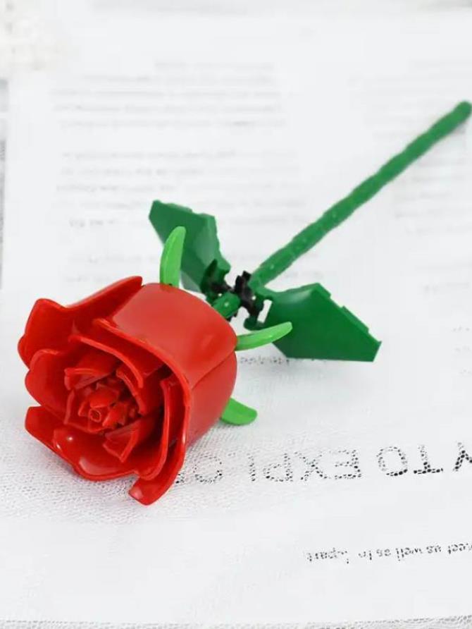 Red Rose Building Blocks