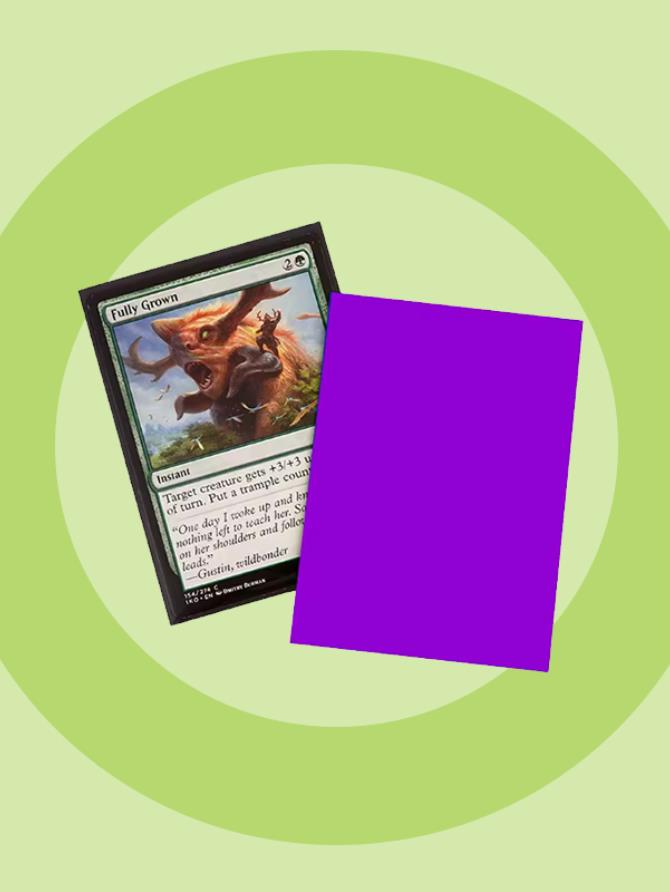 HUIZHIBIAO Purple Sleeves - 62 sleeves - 64.5x90mm