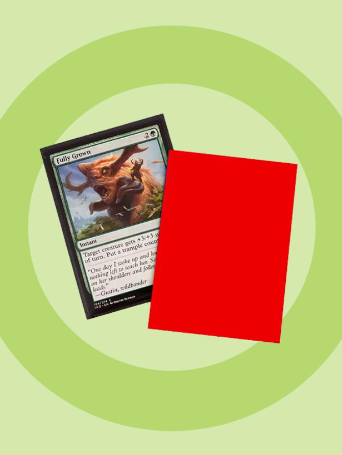 HUIZHIBIAO Red Sleeves - 62 sleeves - 64.5x90mm